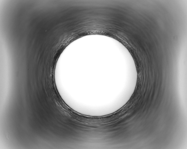 X0000084520458200703161551