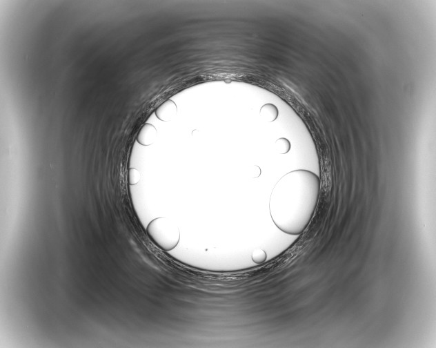 X0000084520459200703161551