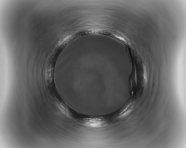 X0000084520462200703161551