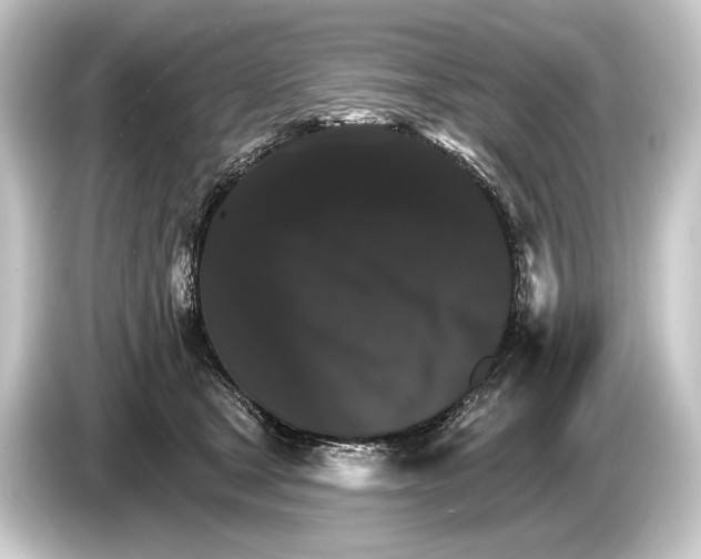 X0000084520465200703161551