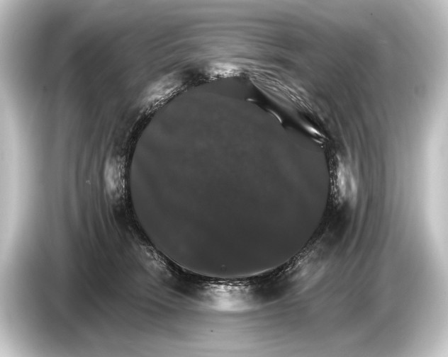 X0000084520466200703161551