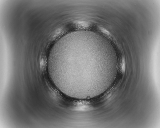 X0000084520468200703161551