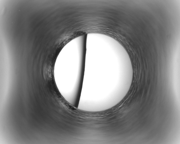 X0000084520470200703161551