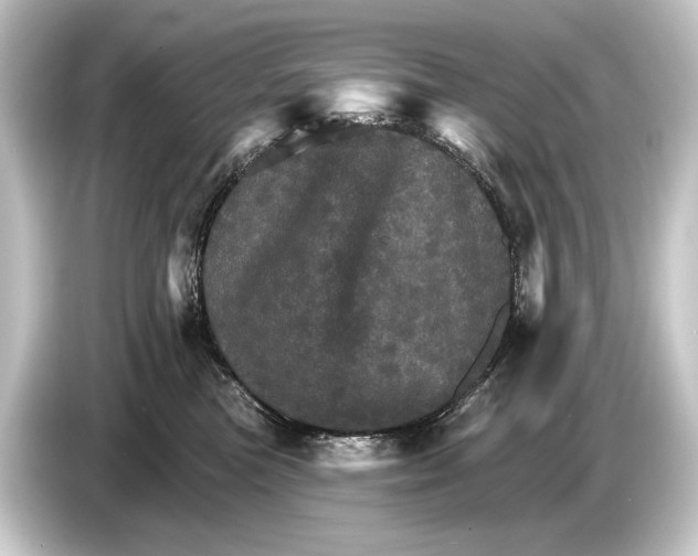 X0000084520473200703161551