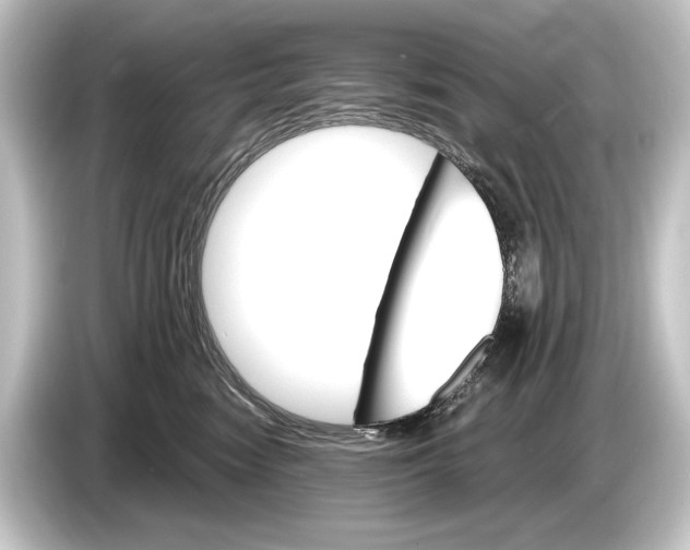 X0000084520474200703161551