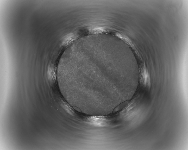 X0000084520477200703161551