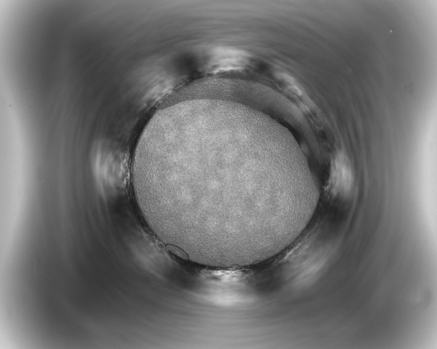 X0000084520478200703161551