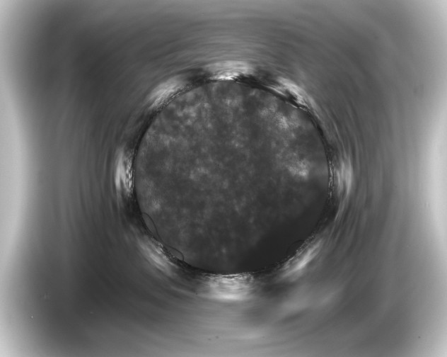 X0000084520479200703161551