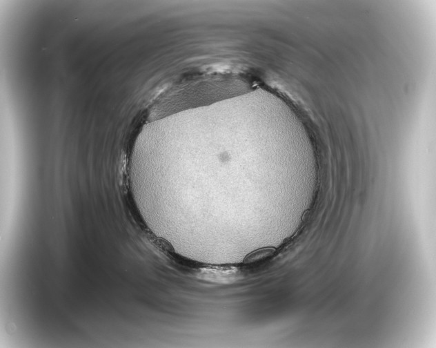 X0000084520480200703161551