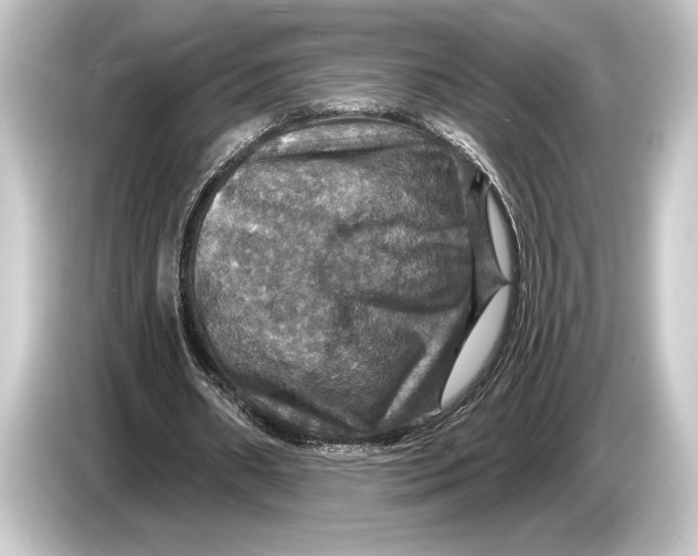 X0000084520482200703161551