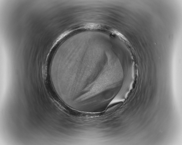 X0000084520484200703161550