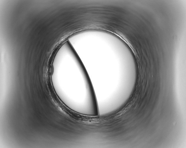 X0000084520485200703161550