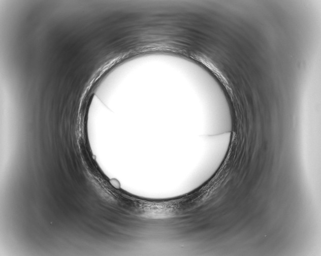 X0000084520486200703161550