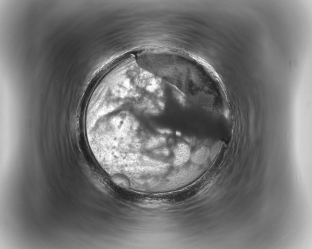 X0000084520487200703161550