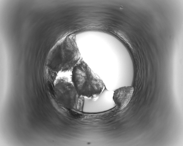 X0000084520491200703161550