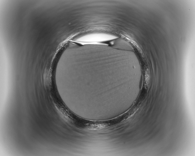 X0000084520492200703161550