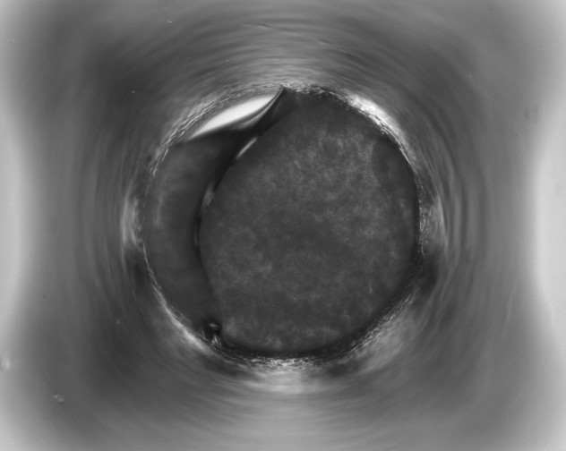 X0000084520493200703161550