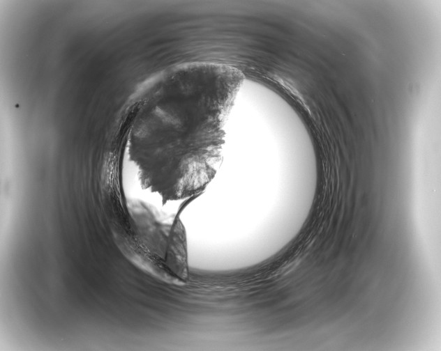 X0000084520495200703161550