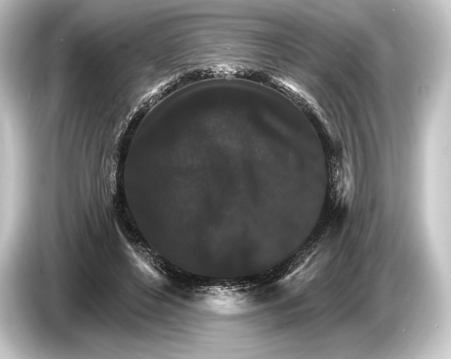 X0000084520496200703161550