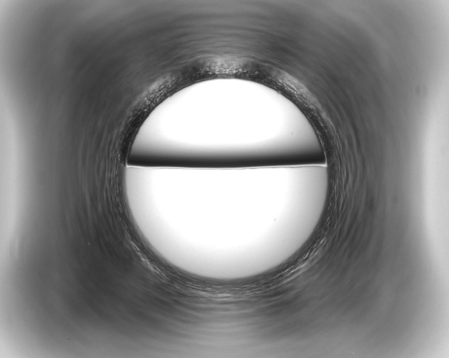 X0000084520497200703161550