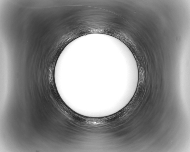 X0000084520498200703161550