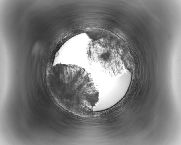 X0000084520499200703161550