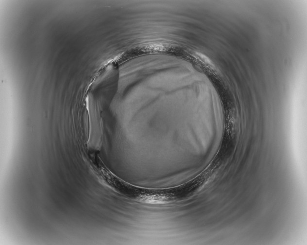 X0000084520500200703161550