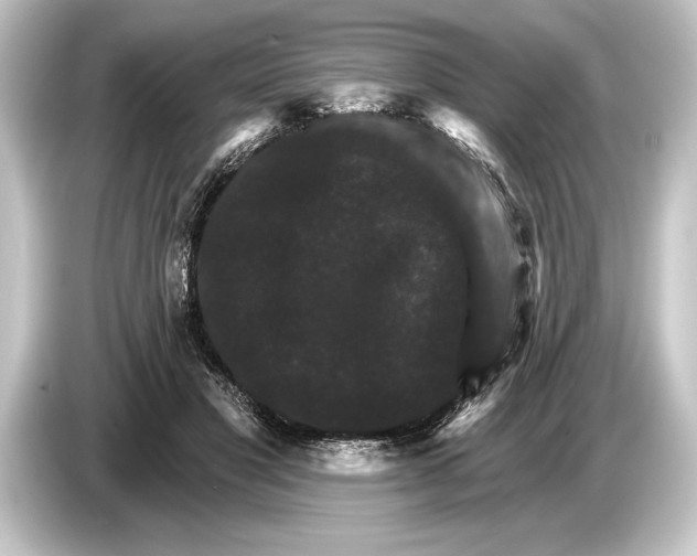 X0000084520501200703161550