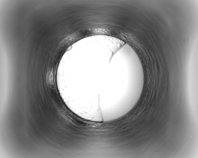 X0000084520502200703161550