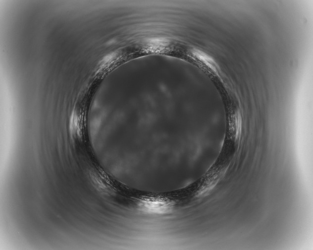 X0000084520503200703161550