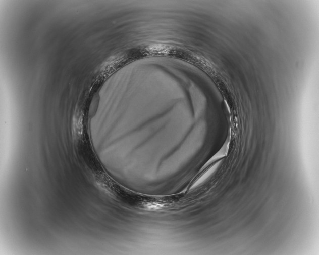 X0000084520504200703161550