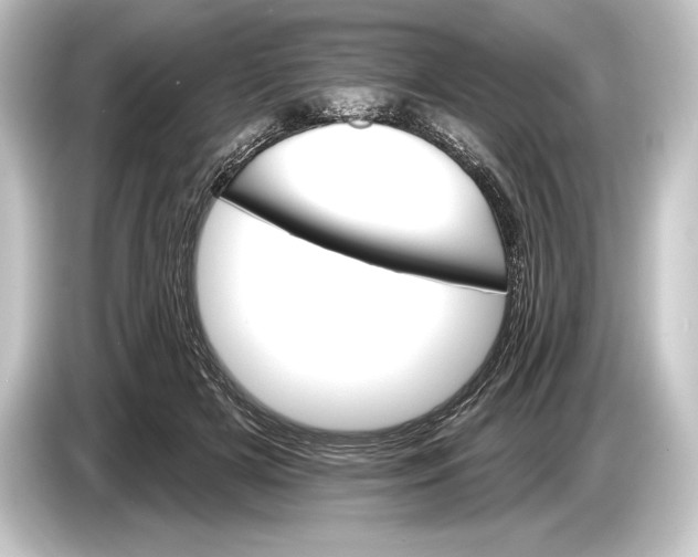 X0000084520505200703161550