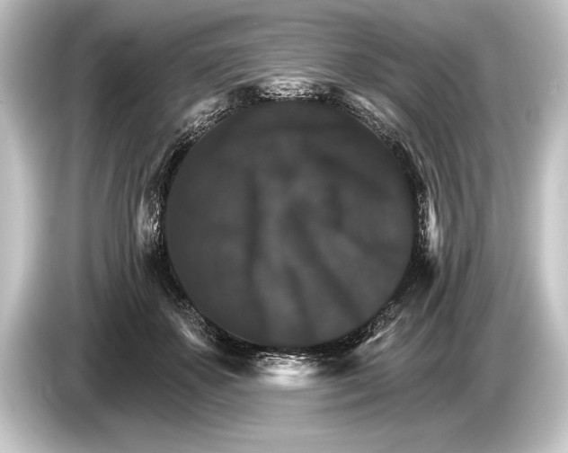 X0000084520507200703161550