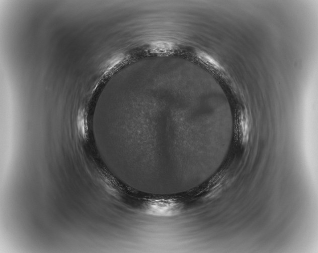 X0000084520508200703161550