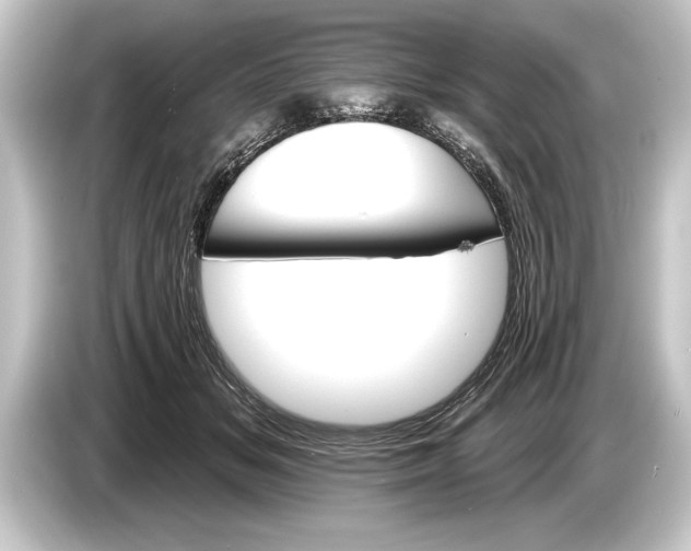 X0000084520509200703161550