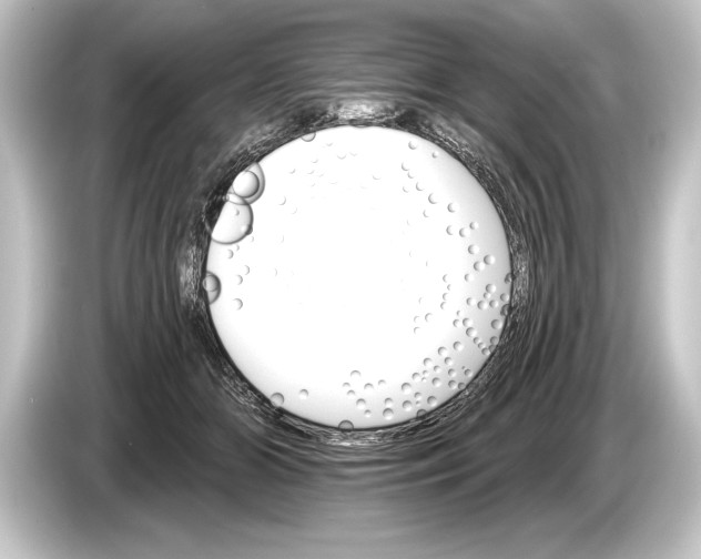 X0000084520510200703161550