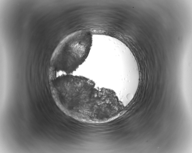 X0000084520511200703161550