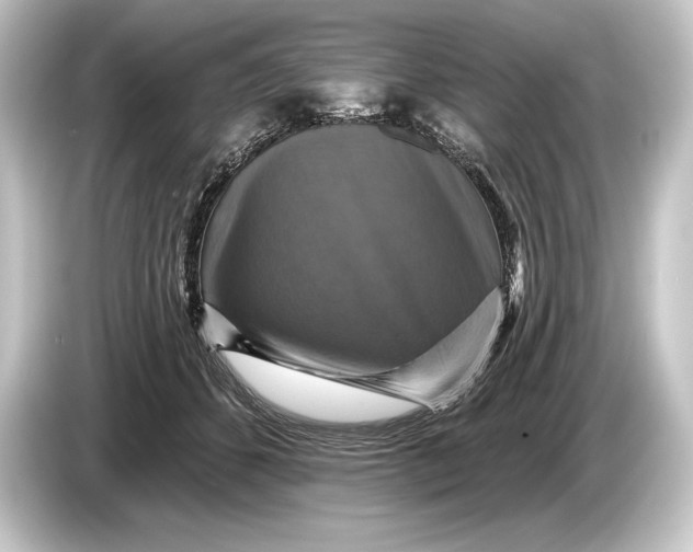 X0000084520512200703161550