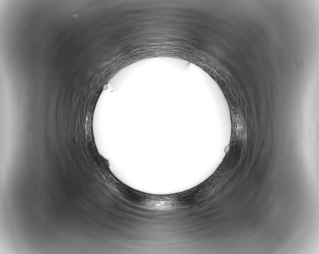 X0000084520514200703161550