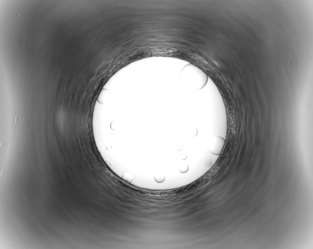 X0000084520515200703161550