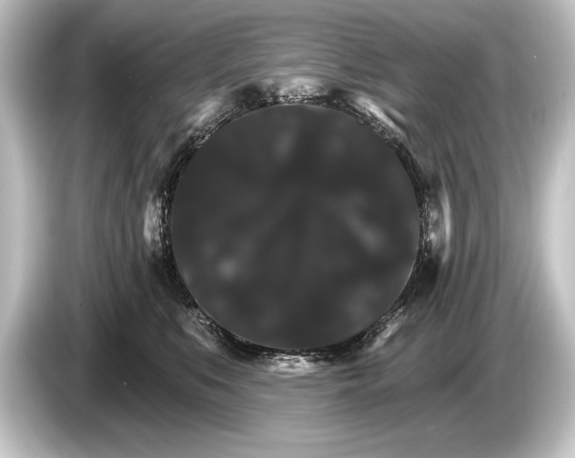 X0000084520519200703161550