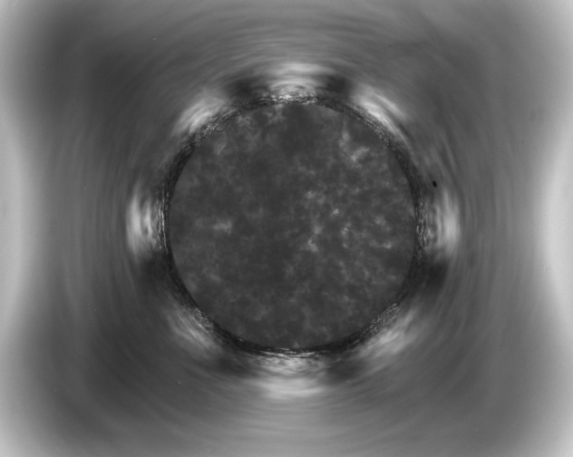 X0000084520523200703161550