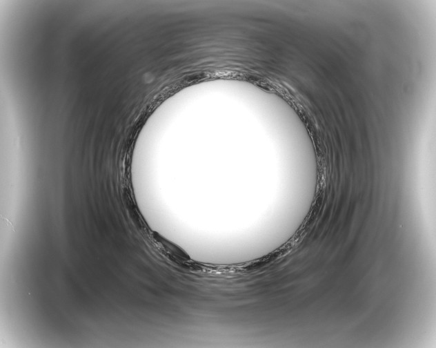 X0000084520524200703161550