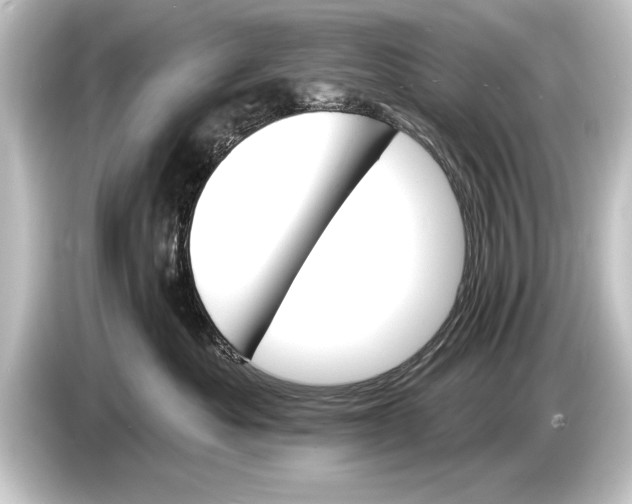 X0000084520525200703161550