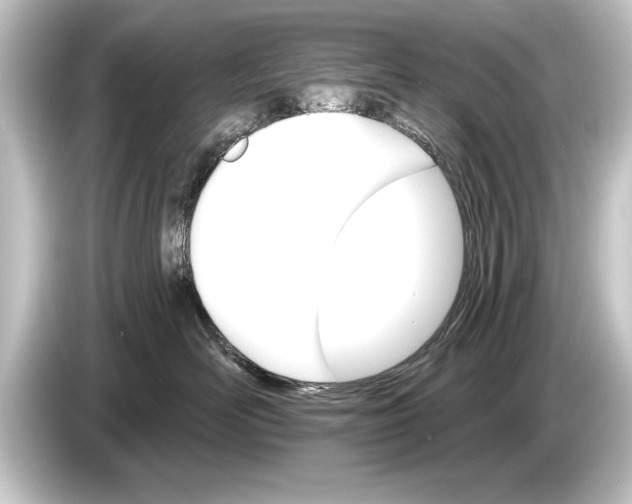 X0000084520526200703161550