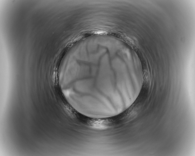 X0000084520527200703161550