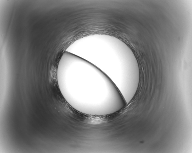 X0000084520528200703161550