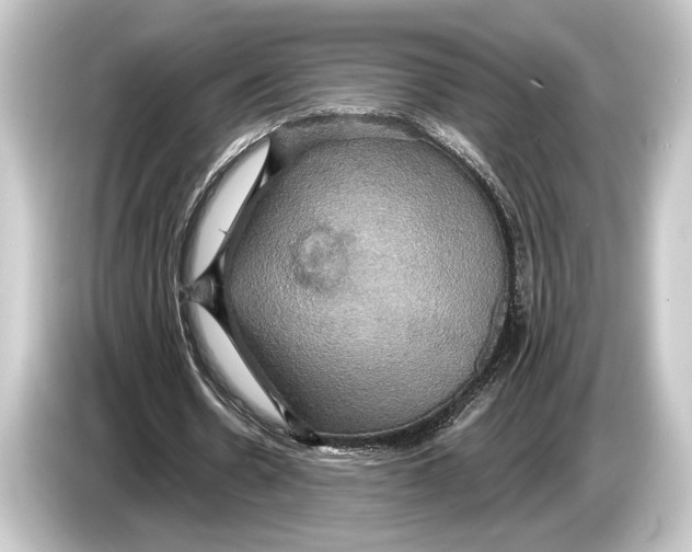 X0000084520530200703161549