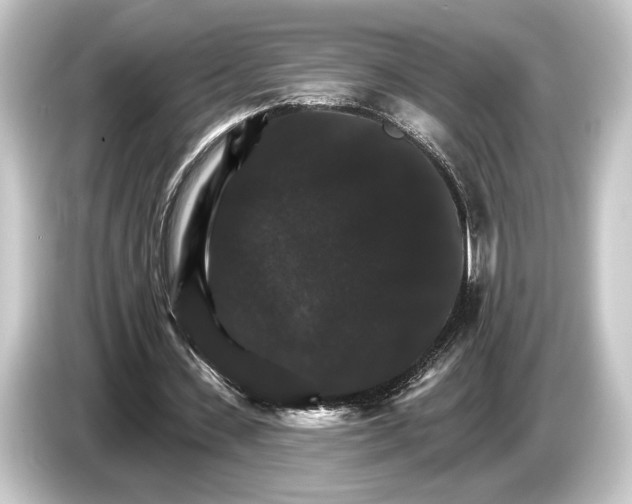 X0000084520531200703161549