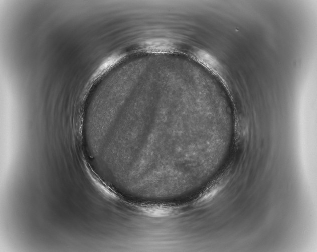 X0000084520533200703161549